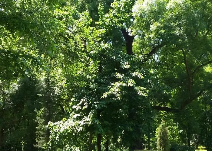 Отель Florance Сливенски Минерални Бани